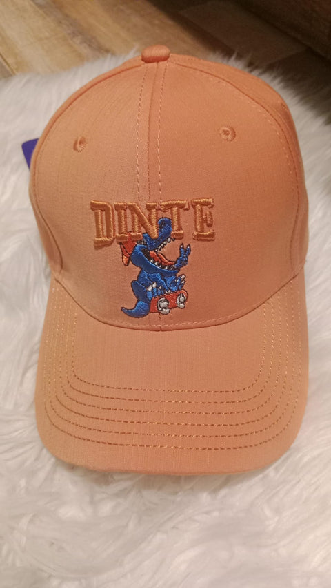 Dino Skater Cap “ Sunset Dinte Edition