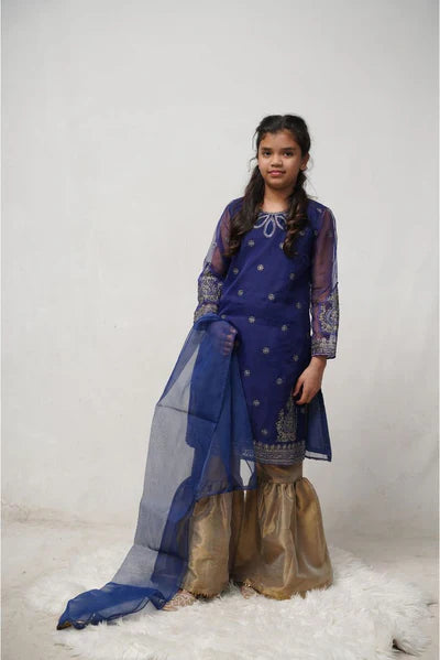 Organza Embroidered 3 Pc