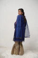 Organza Embroidered 3 Pc