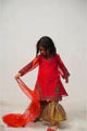 Organza Embroidered 3 Pc | 6010