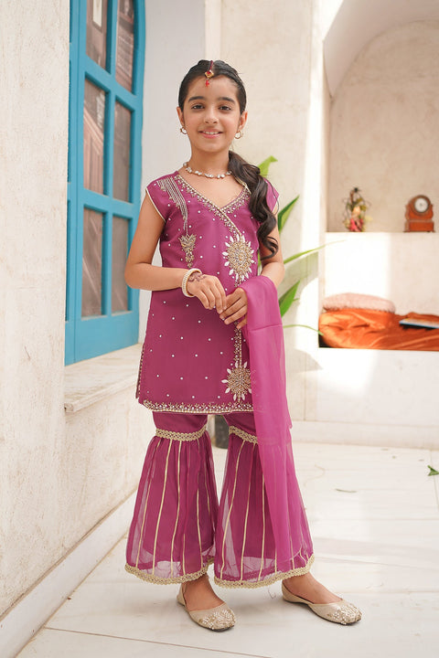 Garara Fancy 2 Piece Set - Chand Tara