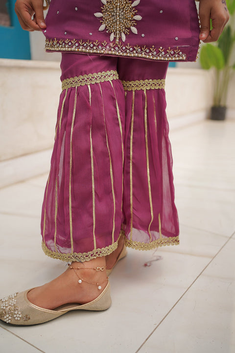 Garara Fancy 2 Piece Set - Chand Tara