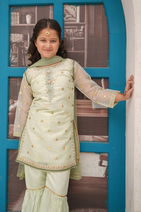 Organza Embroidered 3 Piece Suit - Chand Tara