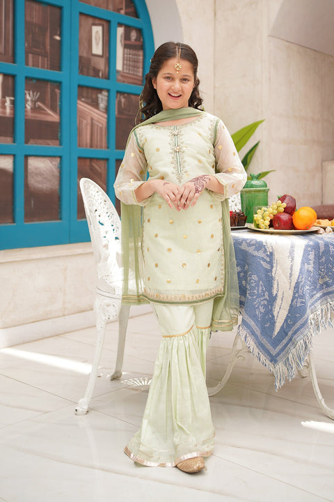 Organza Embroidered 3 Piece Suit - Chand Tara