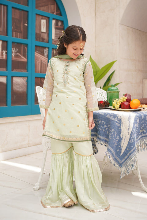 Organza Embroidered 3 Piece Suit - Chand Tara