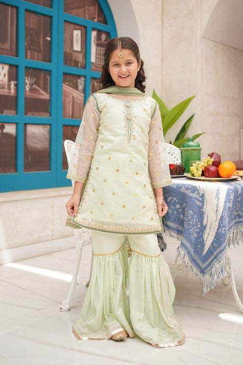 Organza Embroidered 3 Piece Suit - Chand Tara