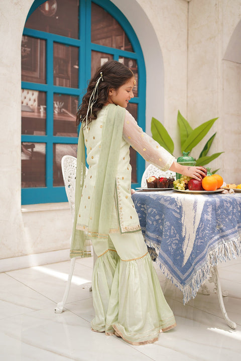 Organza Embroidered 3 Piece Suit - Chand Tara