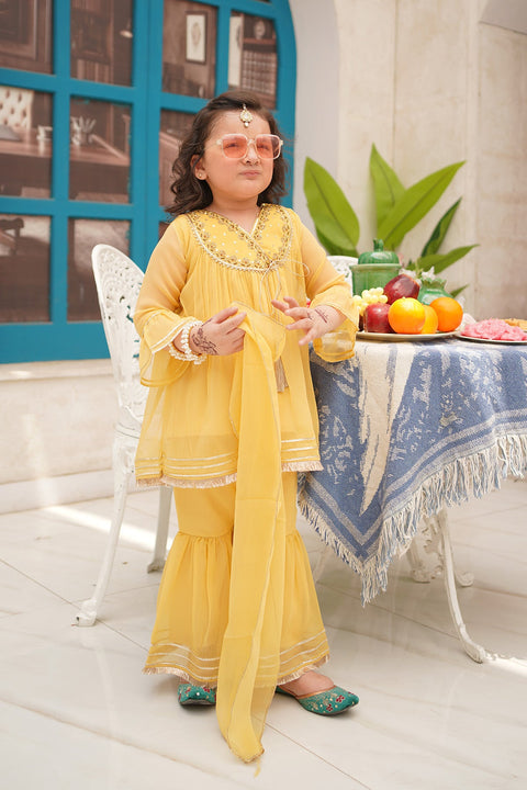 Fancy Girl Embroidery 3 Piece Suit - Chand Tara