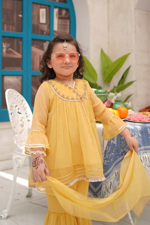 Fancy Girl Embroidery 3 Piece Suit - Chand Tara