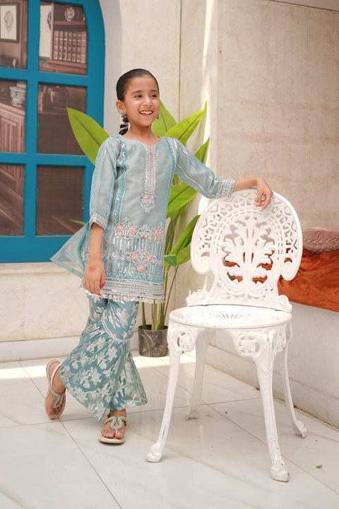 Banarsi Organza Fancy 3 Piece
