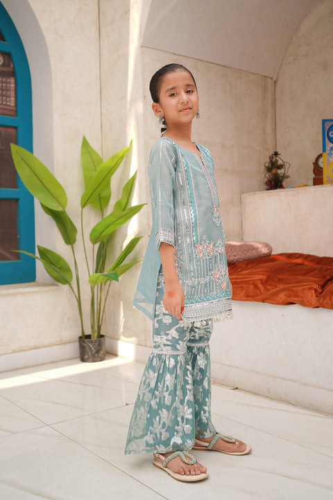 Banarsi Organza Fancy 3 Piece