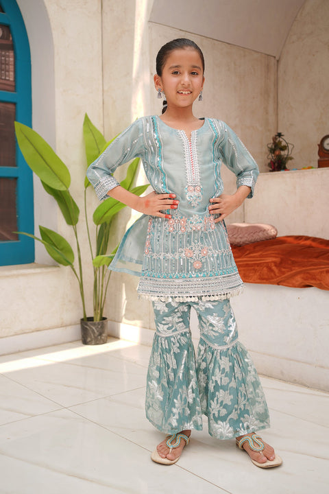 Banarsi Organza Fancy 3 Piece
