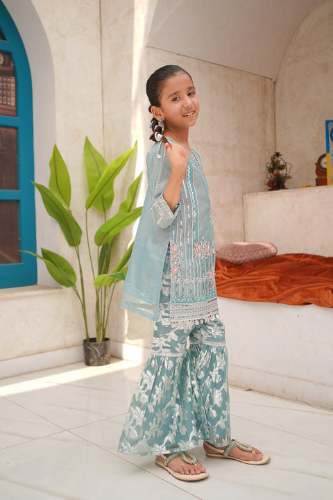 Banarsi Organza Fancy 3 Piece
