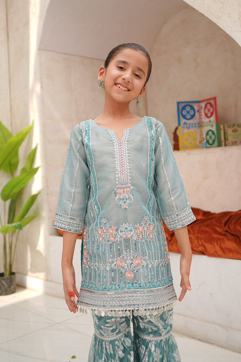 Banarsi Organza Fancy 3 Piece