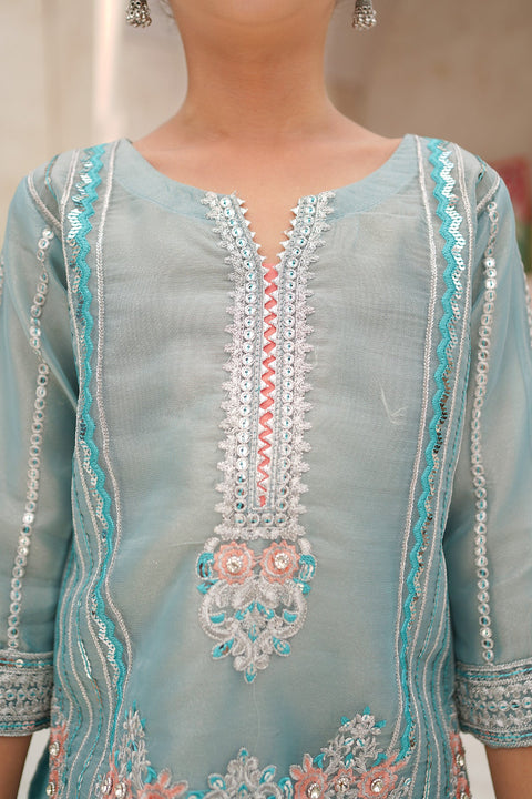 Banarsi Organza Fancy 3 Piece