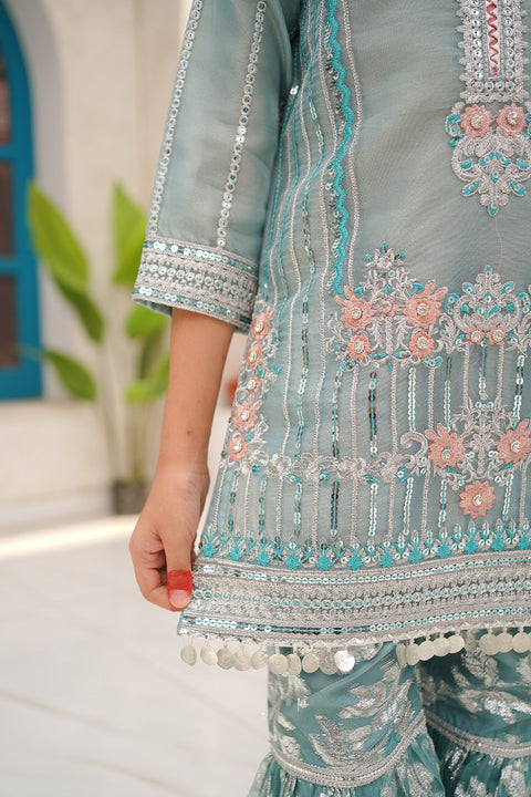 Banarsi Organza Fancy 3 Piece