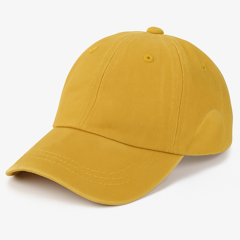 Dino Skater Cap   DINTE Edition