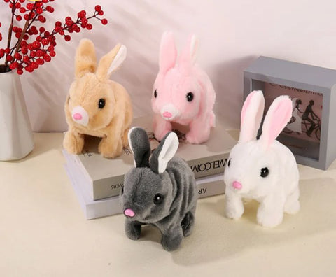 RABIT STUFF
