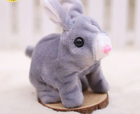RABIT STUFF