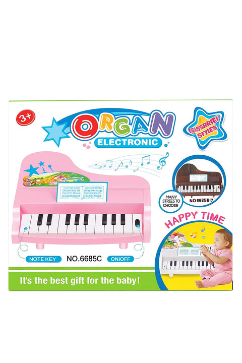 ORGAN ELECTRONIC