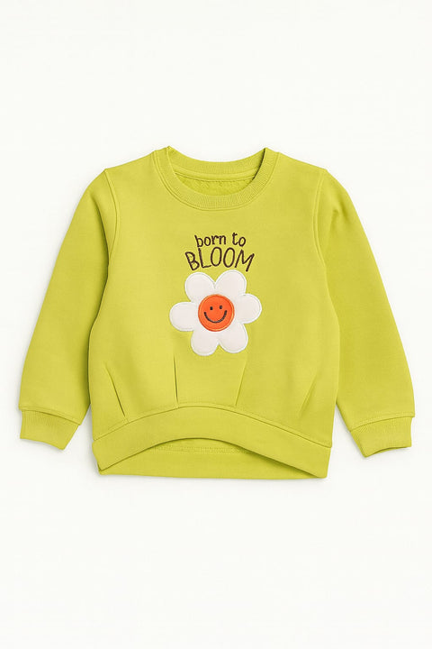 Sweat Shirt & Trouser