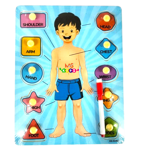 The Human Body Parts Toys 3In1 Activity Wooden Board