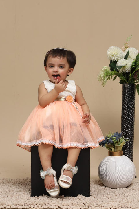 Baby Fancy Frock Rose